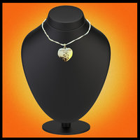 Silver necklace with Autism awareness message