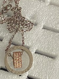 Armani Exchange signed  Double Rings Pendant and silver necklace