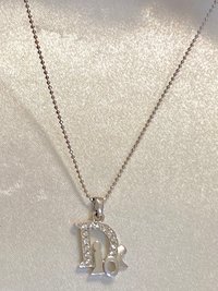 Christian Dior Vintage Dior Silver Logo Necklace